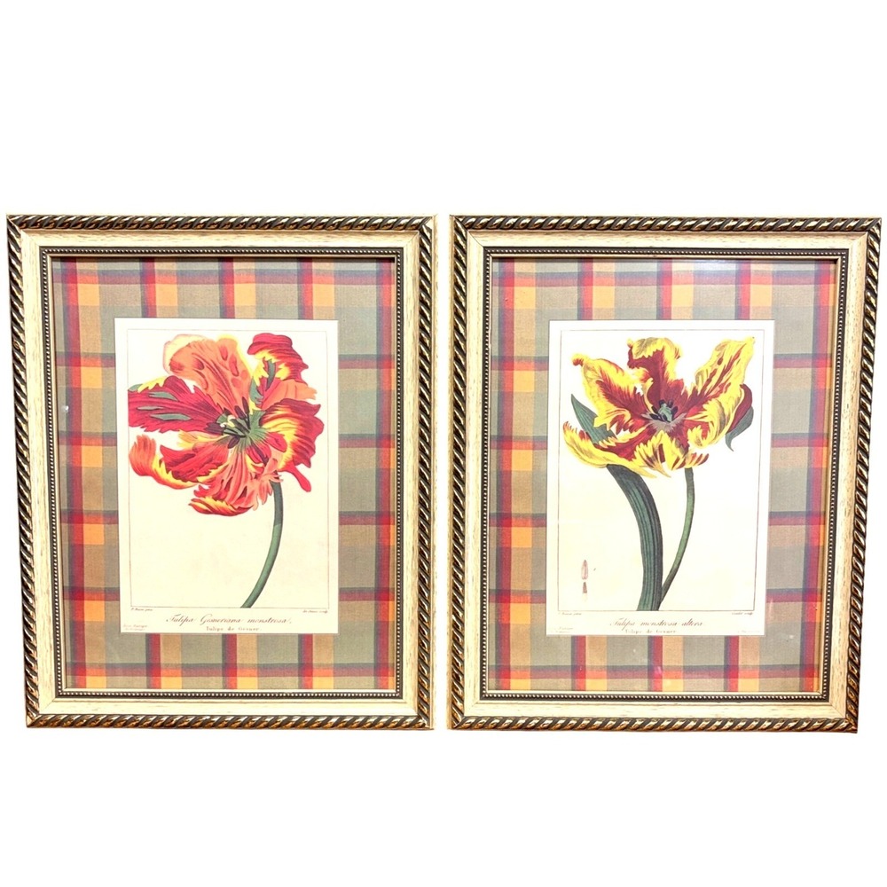 Set‎ Of 2 Framed Tulip Botanical Prints Plaid Matting & Gold-Tone Frames